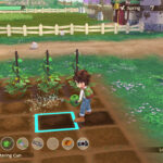 Story of Seasons: A Wonderful Life