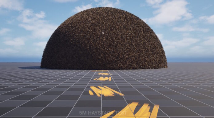 Needle in a Haystack Simulator